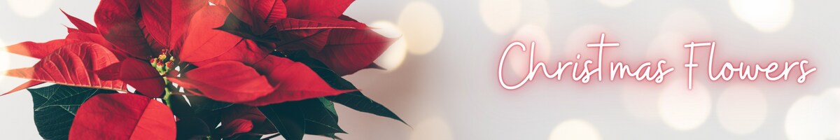 Christmas Store